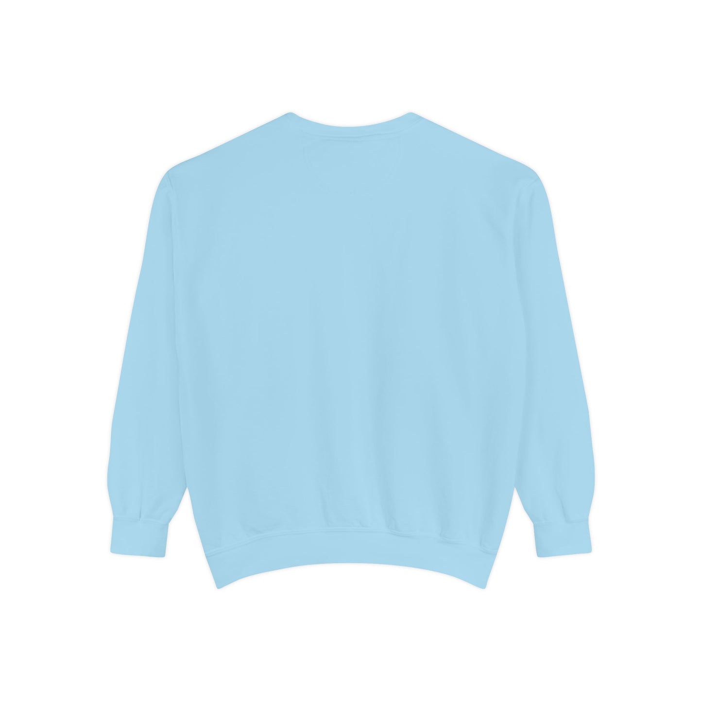 Teddy Bear Bow Hoddie