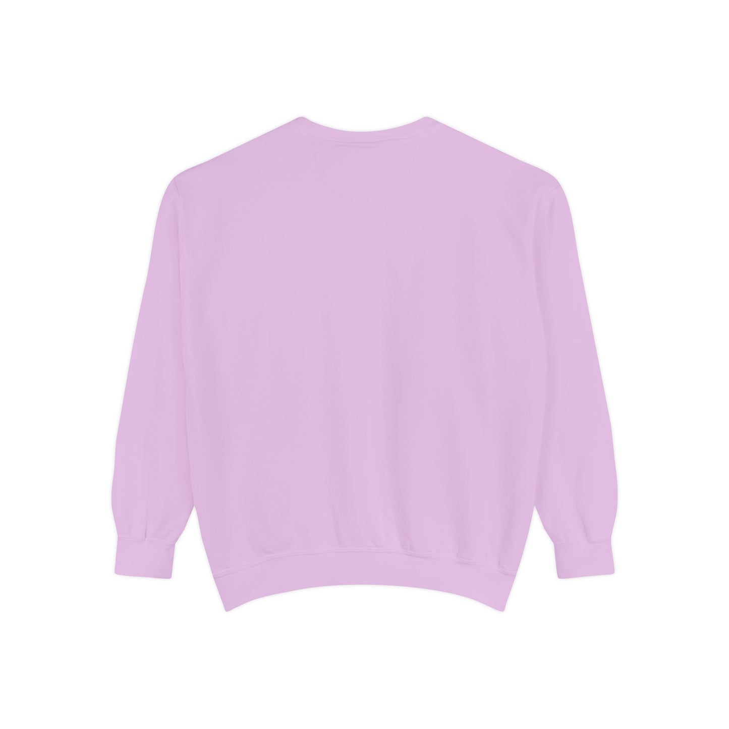 Teddy Bear Bow Hoddie